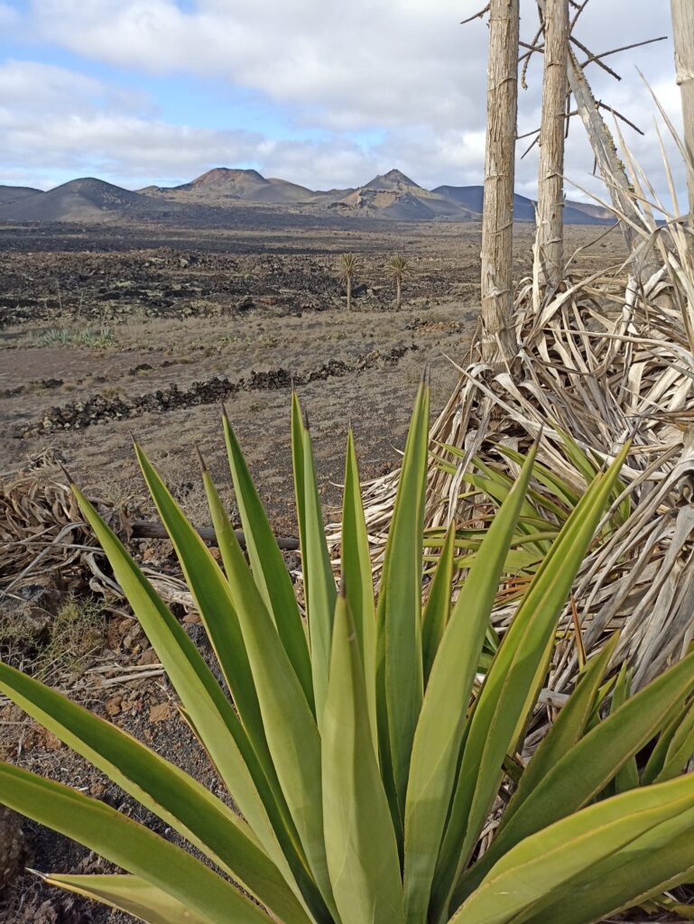 Randonnée Lanzarote