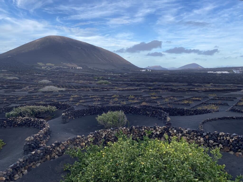 Voyage, Lanzarote La geria