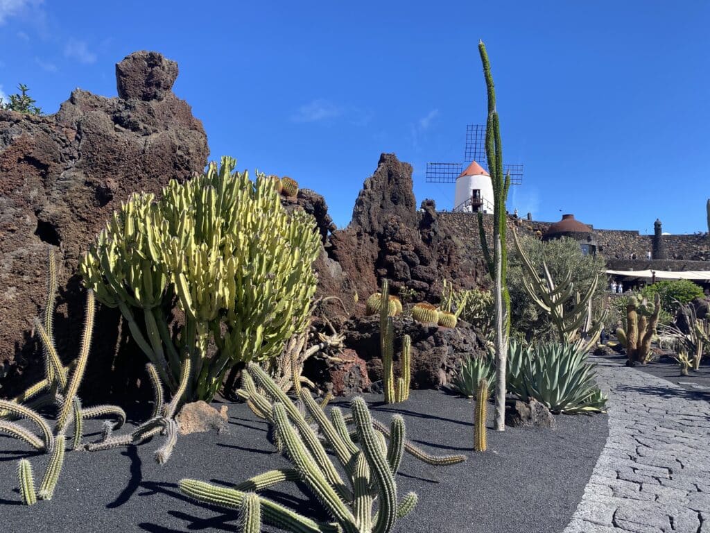 Voyage, Lanzarote, Jardin de Cactus 1