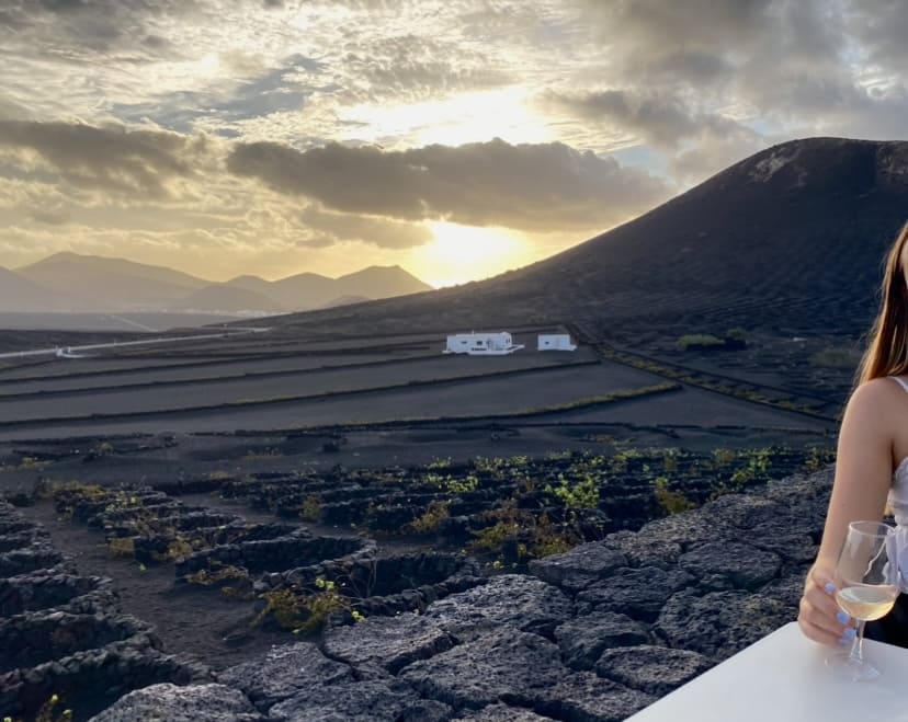 Voyage, Lanzarote, Vignes