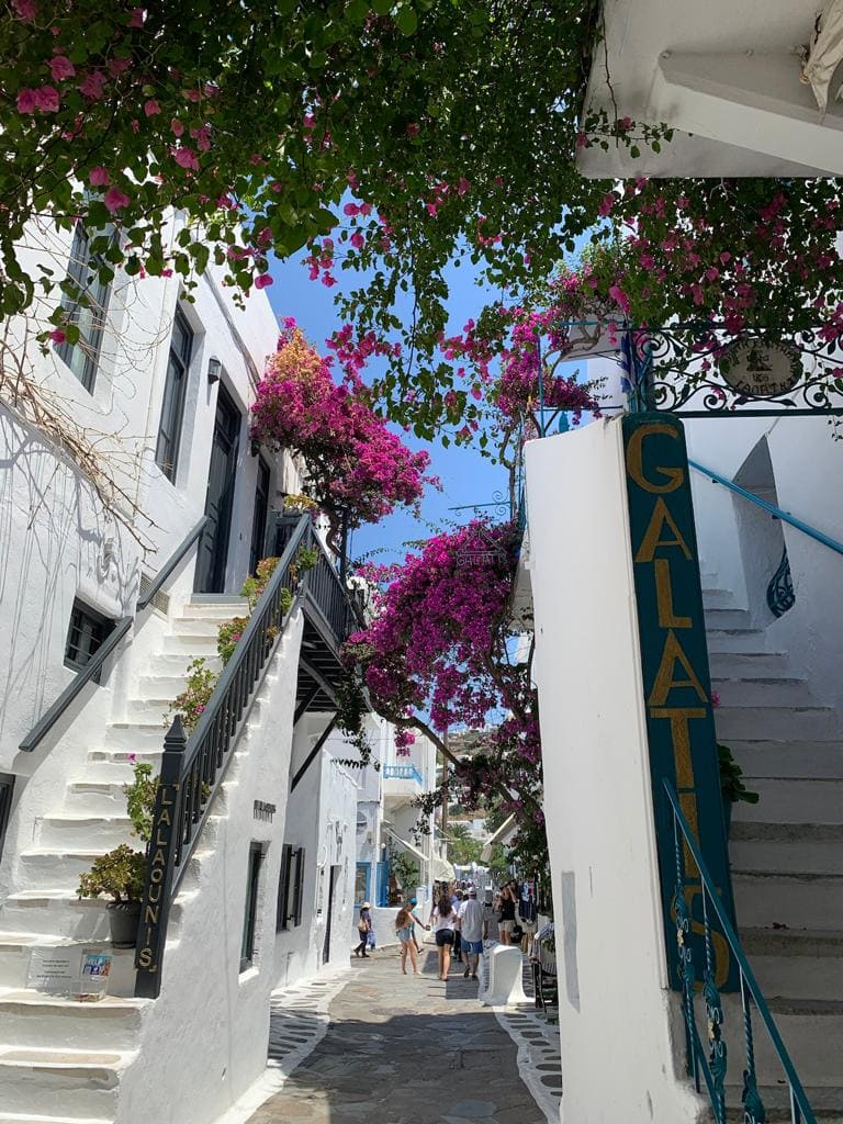 ruelles fleuries, mykonos