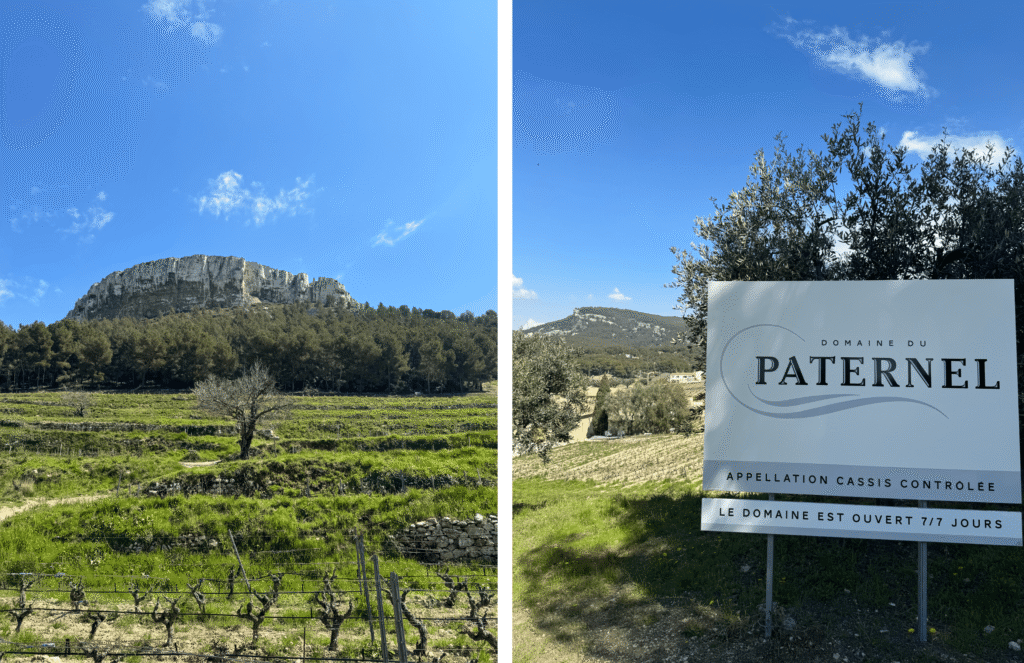 Domaine viticole Cassis, Paternel