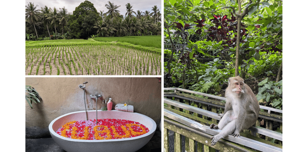 Ubud