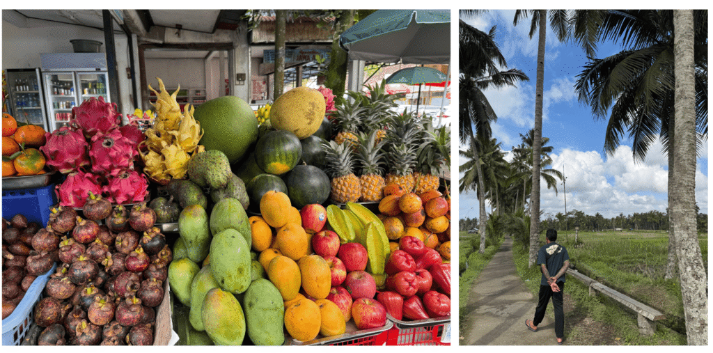 Fruits exotiques, guide local Wayan