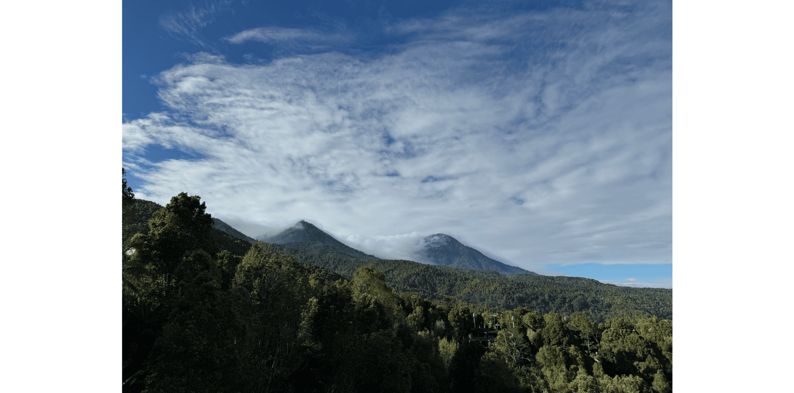 Munduk