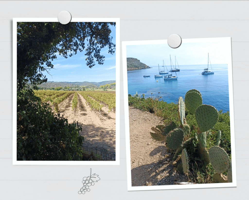 Vignes et plages de la Briande