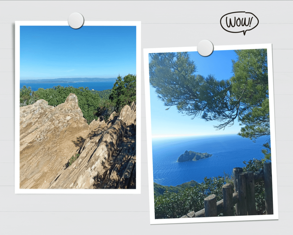 Randonnée Mont Vinaigre, Port Cros